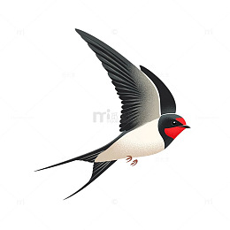 简约风飞翔燕子自然插画