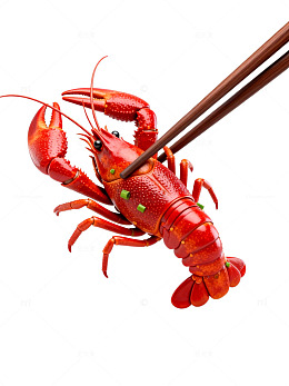 筷子夹龙虾美食插画