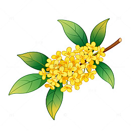 卡通桂花插画