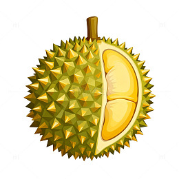 卡通榴莲水果插画素材