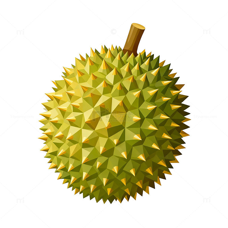 榴莲水果插画设计素材