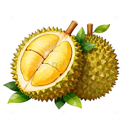 榴莲水果插画设计素材