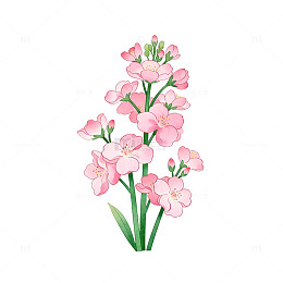 水彩粉花插画设计素材
