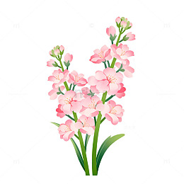 粉色鲜花插画
