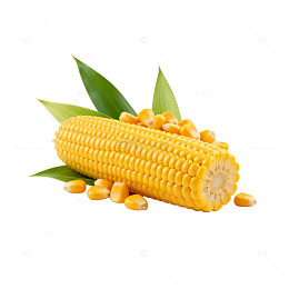 玉米美食片