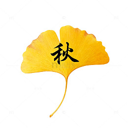 银杏叶秋意浓艺术插图