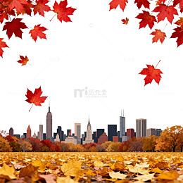 秋叶城市风景图