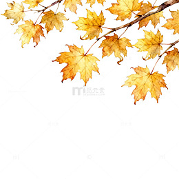 秋天枫叶水彩画装饰素材