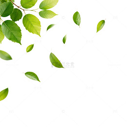 清新绿叶飘落画面