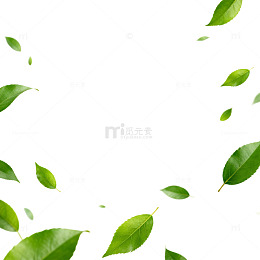 绿叶飞舞春天生机图片
