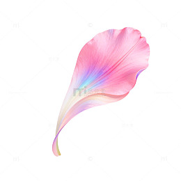 粉色渐变花瓣艺术插画