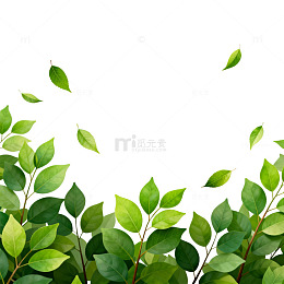 绿色植物边框设计元素
