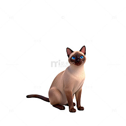 卡通暹罗猫坐立图像