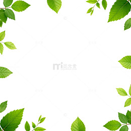绿色树叶边框设计素材
