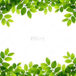绿色清新边框自然装饰设计素材