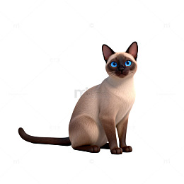 卡通暹罗猫3D模型