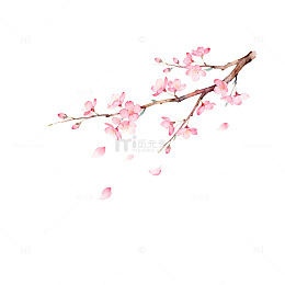 樱花枝水彩画