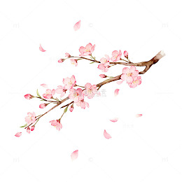 樱花枝插画设计元素