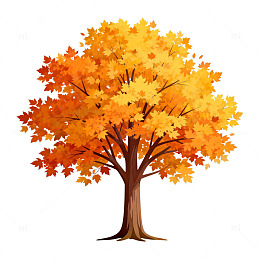 秋枫树卡通插画