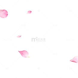 浪漫粉色花瓣飘落