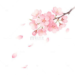 樱花枝插画春天浪漫元素