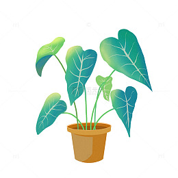 龟背竹春天盆栽植物手绘