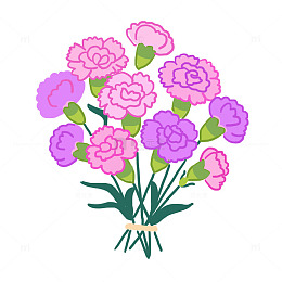 母亲节花朵康乃馨元素