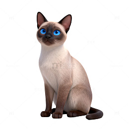 3D动画暹罗猫坐姿展示