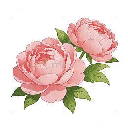 粉色牡丹插画矢量图