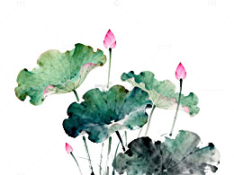 水墨荷花中国画风艺术插画