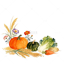 田园丰收水彩画蔬菜水果插画