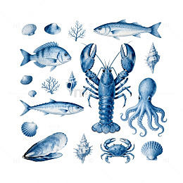 海洋生物插画设计素材