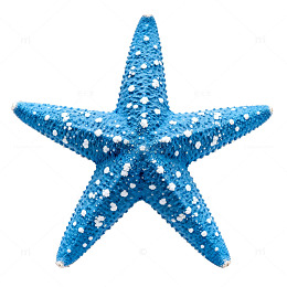 蓝色海星海洋风装饰素材