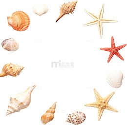 沙滩贝壳海星装饰图
