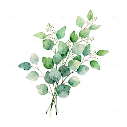水彩绿色植物插画设计元素