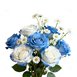 蓝白鲜花花束花卉装饰素材