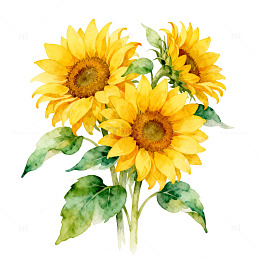 水彩向日葵花卉装饰画