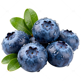 新鲜蓝莓水果特写