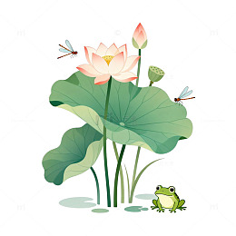 手绘荷花池生态插画