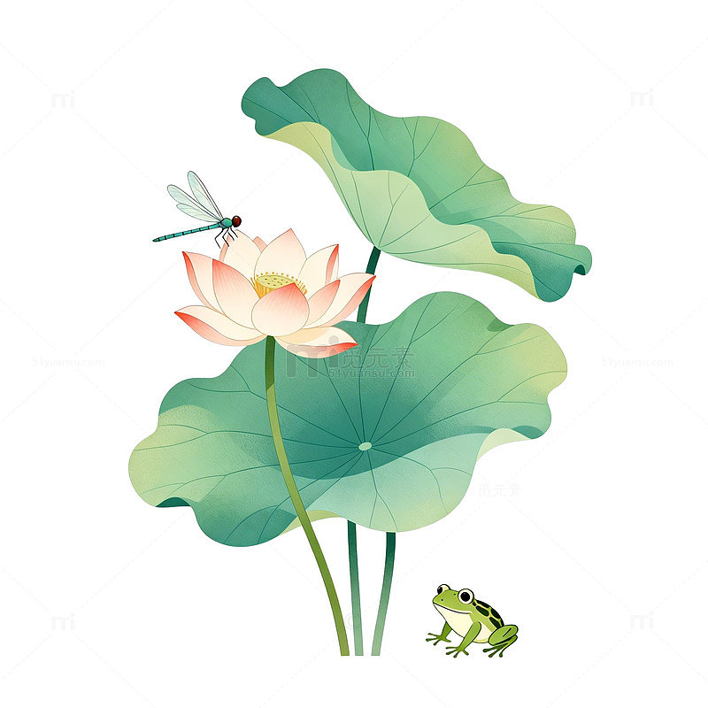 水墨荷花蜻蜓青蛙插画素材