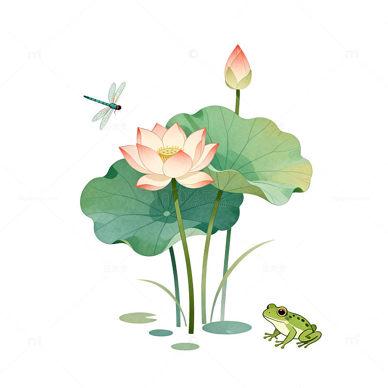 水彩荷花池塘生态插画