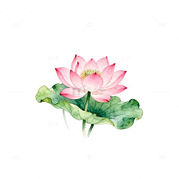 水彩荷花装饰画