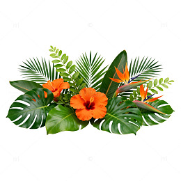 热带花卉装饰图案