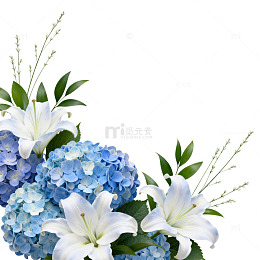 清新花卉装饰设计
