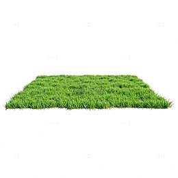 绿色方块草地草皮