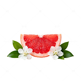 清新柚子花叶设计素材