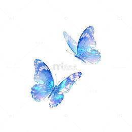 蓝蝴蝶梦幻水晶图案