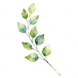 水彩绿植简约装饰插画
