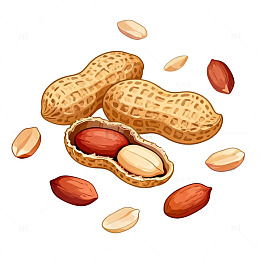 花生插画素材