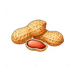 卡通花生插图设计素材